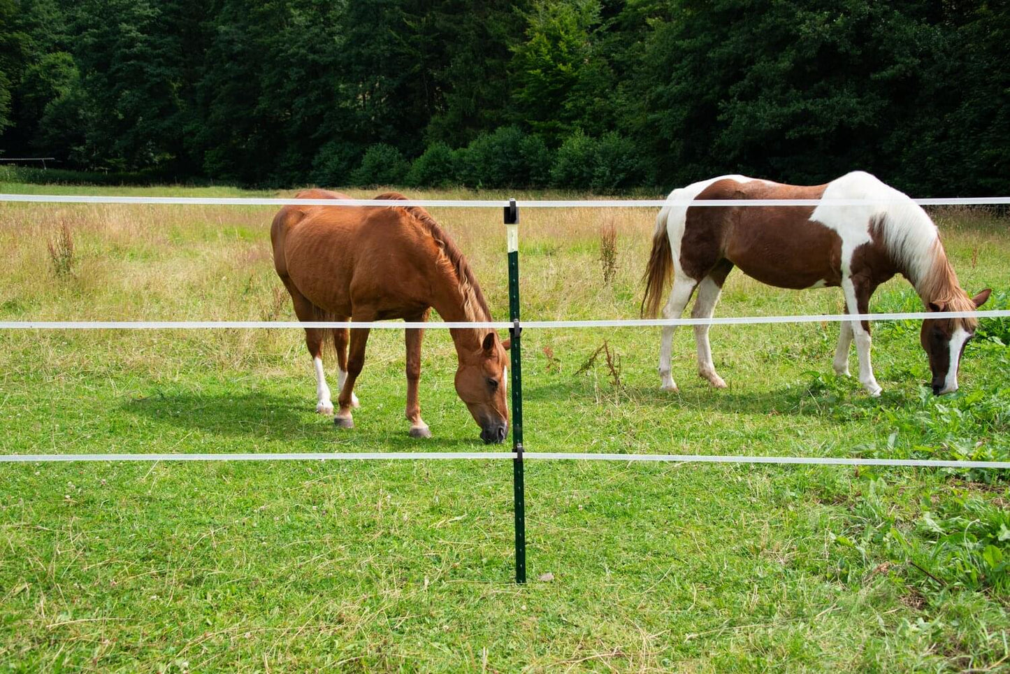 T Post ECO | Metallpfahl | 1,52 m |10 Stück