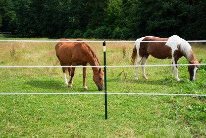 T Post ECO | Metallpfahl | 1,52 m |10 Stück