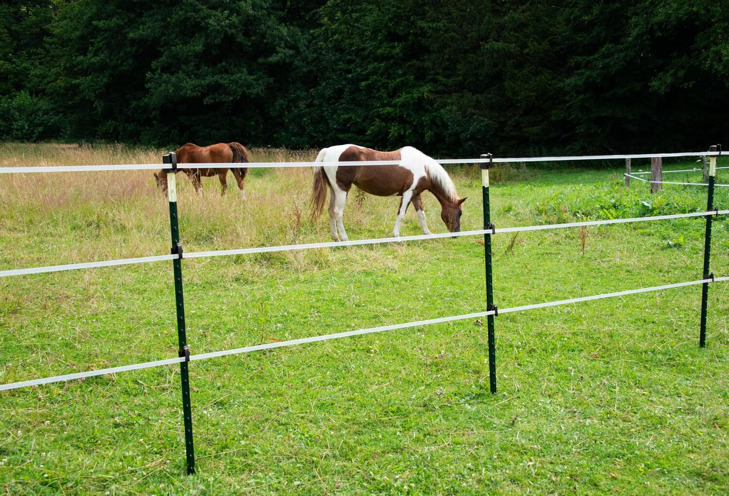 T Post ECO | Metallpfahl | 1,52 m | 200 Stück