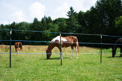 T Post ECO | Metallpfahl | 1,67 m | 50 Stück