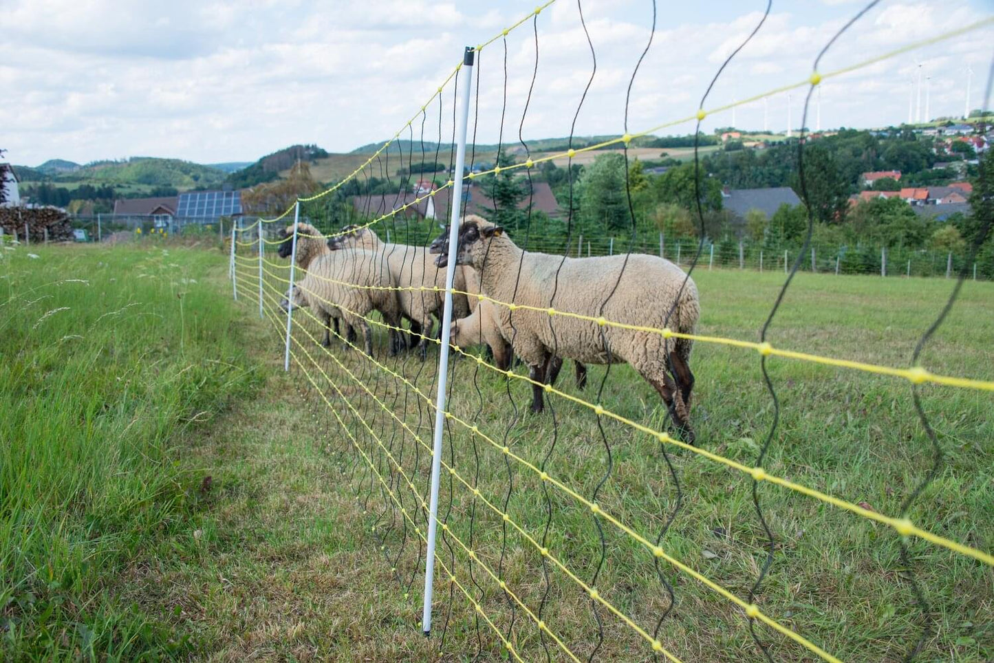 Schafnetz horinetz high energy mit Erdungsleiter | 105 cm hoch | 50 m lang | Doppelspitze | elektrifizierbar
