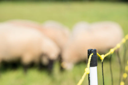 Schafnetz horinetz mit Erdungsleiter | 120 cm hoch | 50 m lang | Doppelspitze | elektrifizierbar