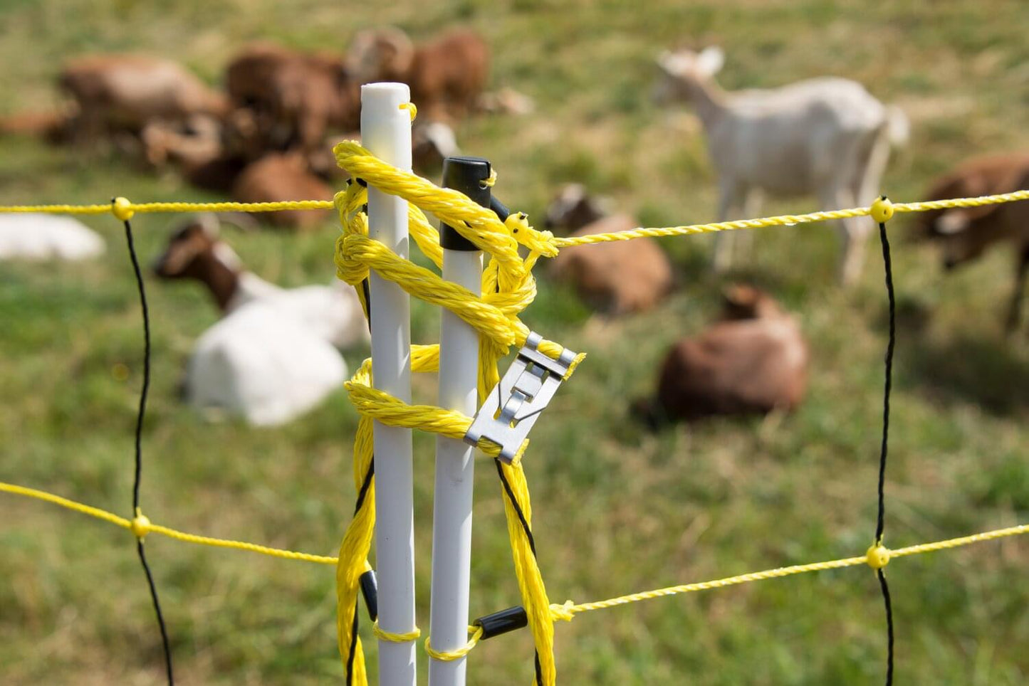 Schafnetz horinetz mit Erdungsleiter | 120 cm hoch | 50 m lang | Doppelspitze | elektrifizierbar