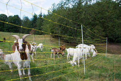 Schafnetz horinetz mit Erdungsleiter | 120 cm hoch | 50 m lang | Doppelspitze | elektrifizierbar