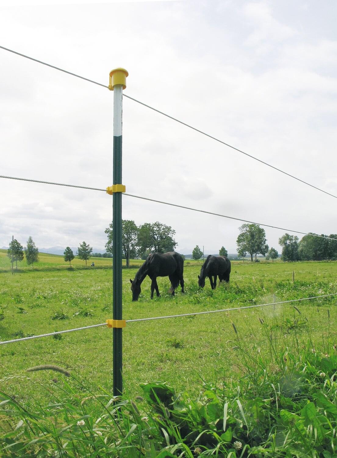 T-Pfosten PRO │ Metallpfahl │ 1,65 m │ grün │ 1 Stück