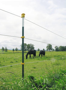 T-Pfosten PRO │ Metallpfahl │ 1,80 m │ grün │ 1 Stück