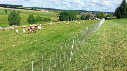 Schafnetz turbomax high energy | 90 cm hoch | 50 m lang | Doppelspitze | elektrifizierbar