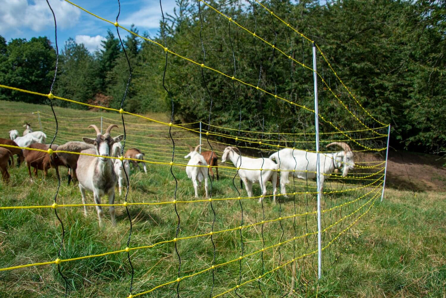 Schafnetz horinetz high energy | 90 cm hoch | 50 m lang | Doppelspitze | elektrifizierbar