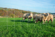 Schafnetz turbomax braided | 50 m lang |105 cm hoch | Einzelspitze | elektrifizierbar