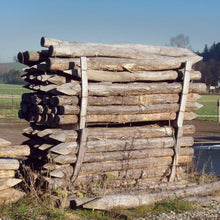 Robinien- Pfahl (rund) | Ø  15 cm | 230 cm (30 Stück / Palette)