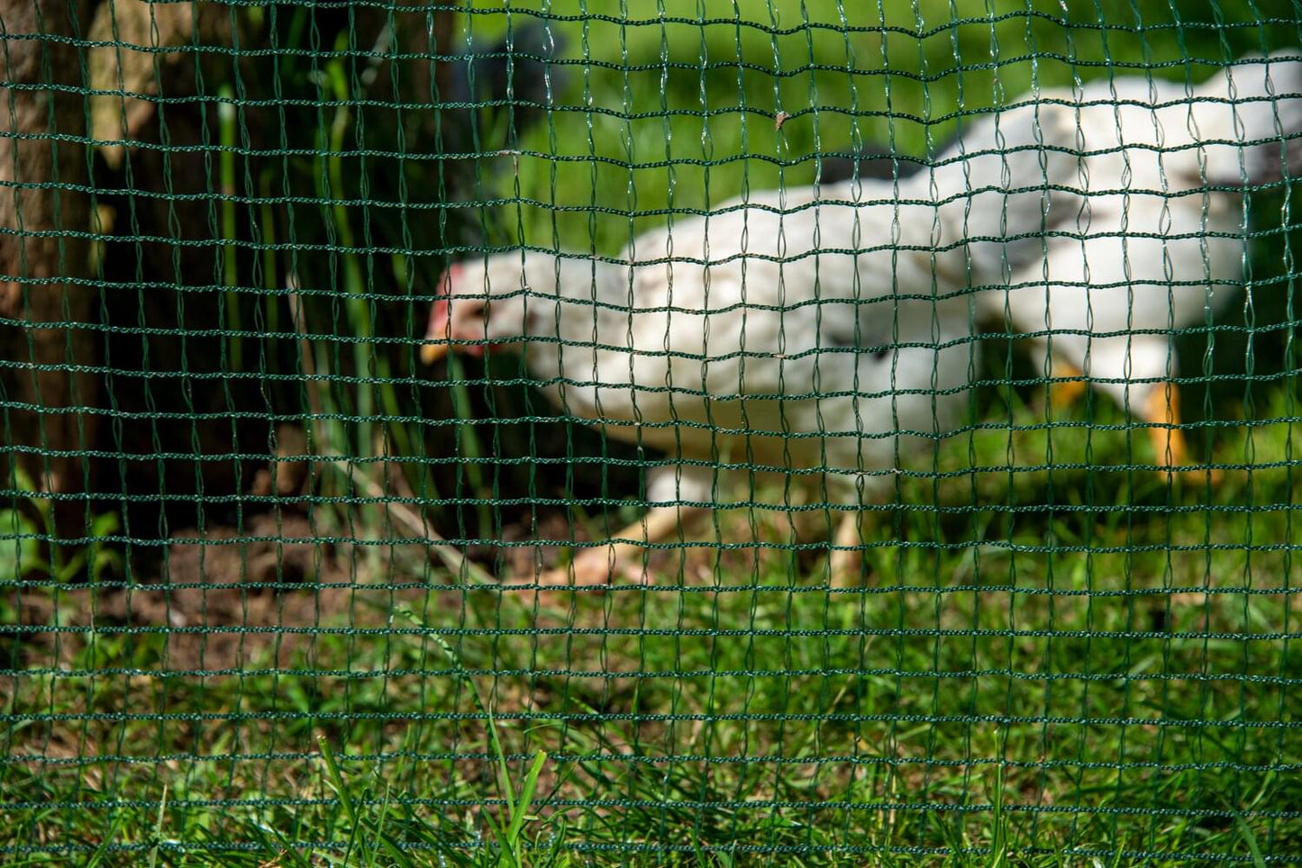 Begrenzungszaun FIX | 90 cm hoch | 15 m lang | 2 zusätzliche Pfähle