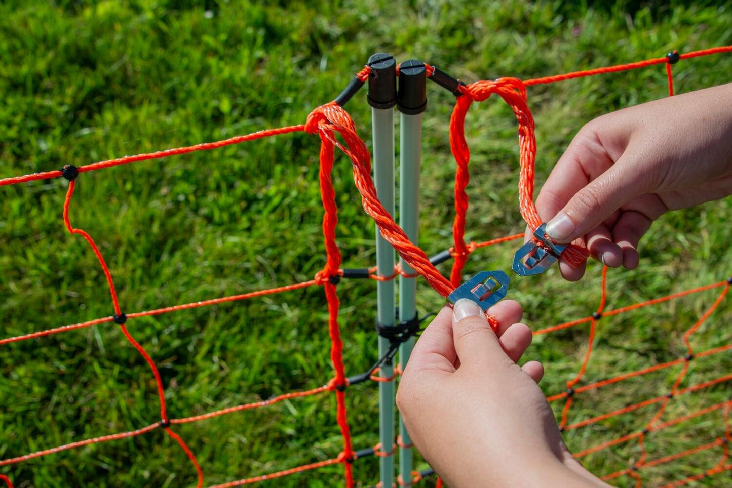 Schafnetz farmer®| Fiberglaspfähle | 90 cm hoch | 50 m lang | elektrifizierbar | Einzelspitze