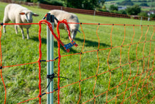 Schafnetz farmer®| Fiberglaspfähle | 90 cm hoch | 50 m lang | elektrifizierbar | Doppelspitze