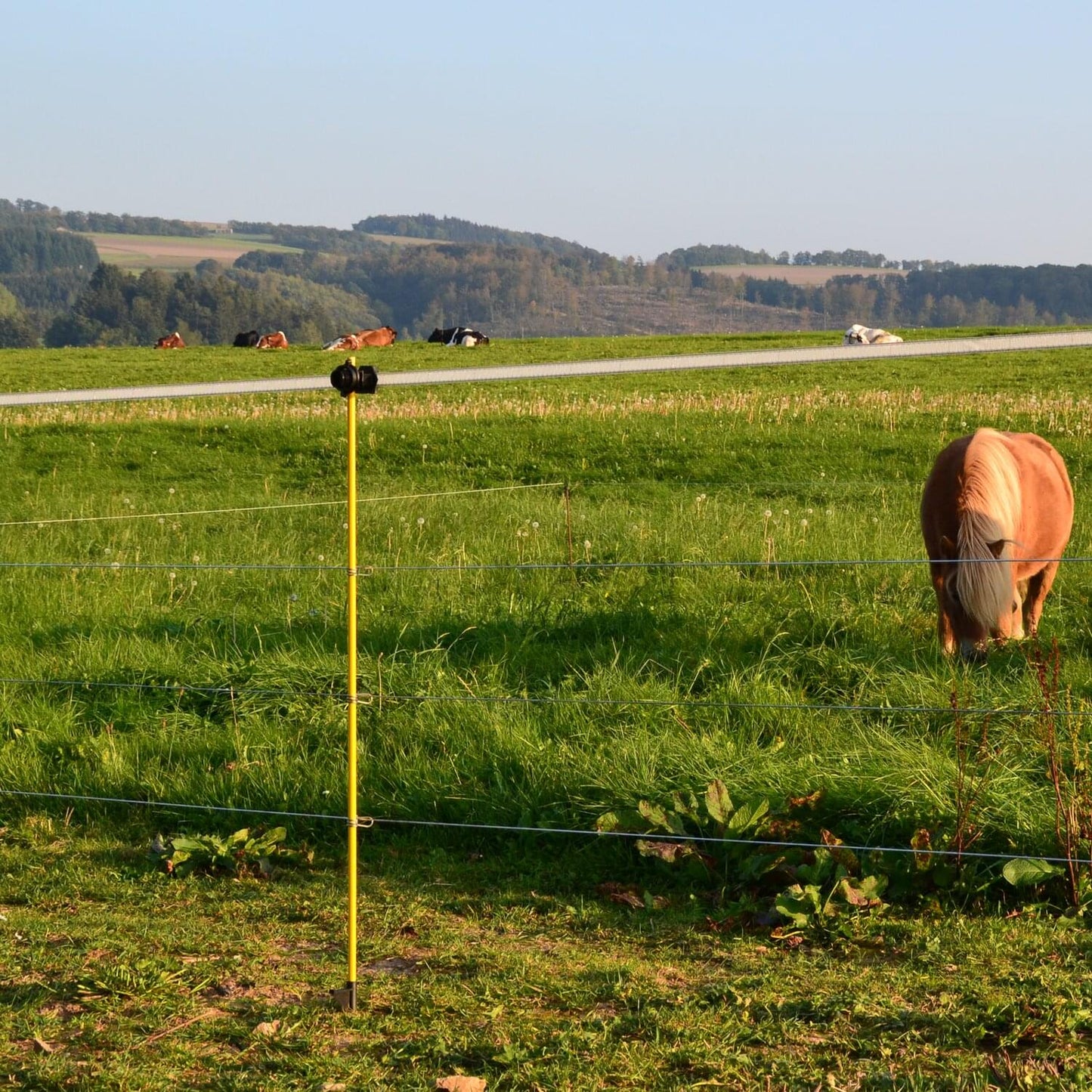 Fiberglaspfahl | 124 cm | gelb | 10 Stück