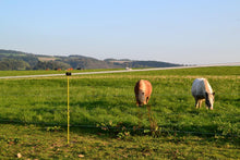 Fiberglaspfahl | 124 cm | gelb | 10 Stück