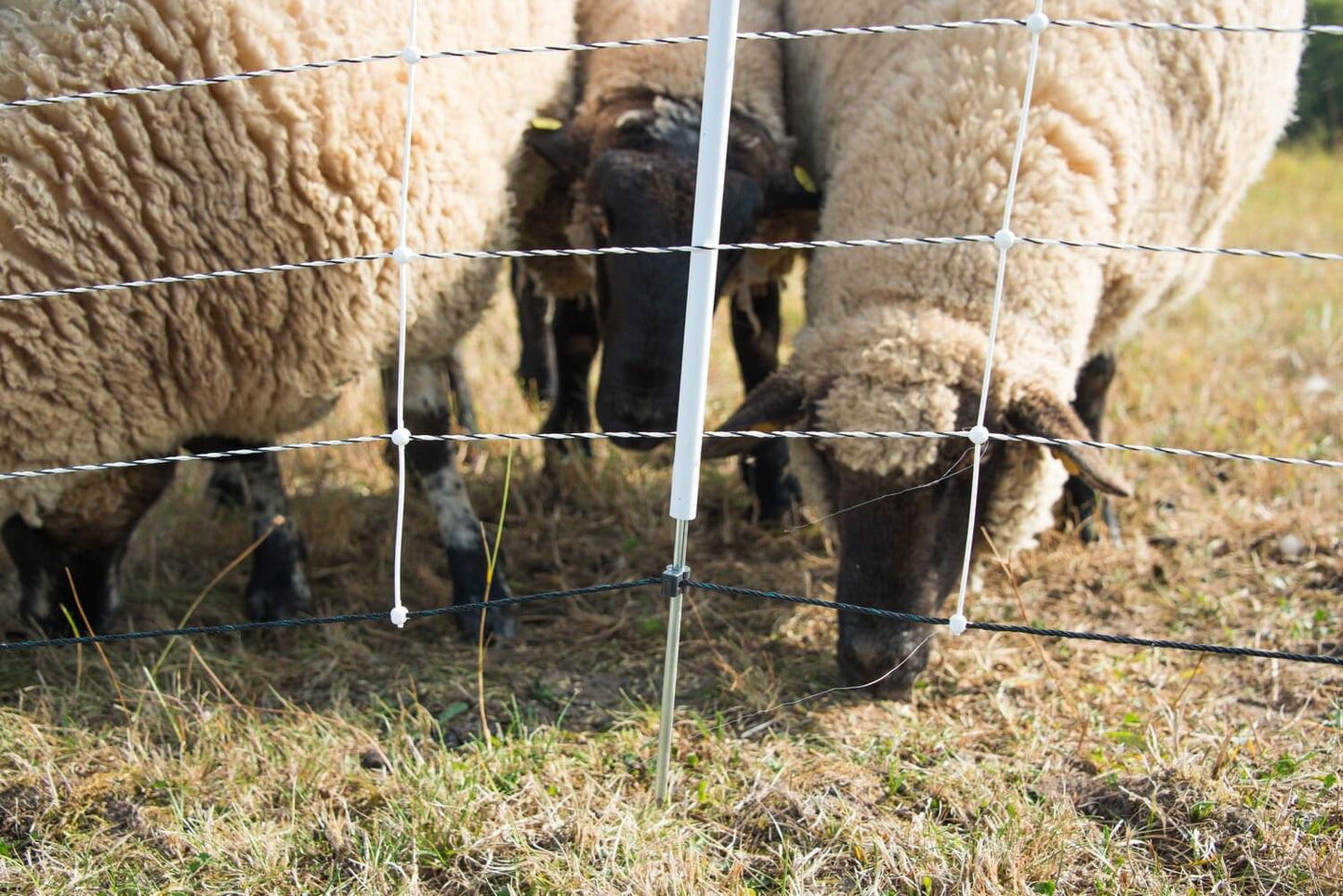Schafnetz turbomax extra | 105 cm hoch | 50 m lang | Einzelspitze | elektrifizierbar