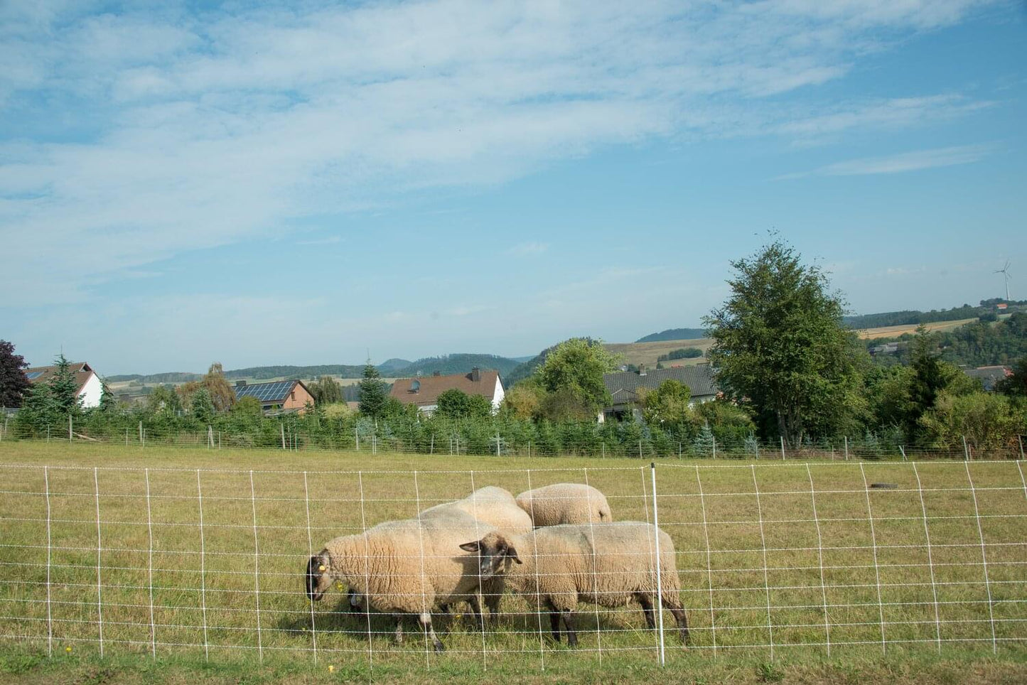 Schafnetz turbomax extra | 105 cm hoch | 50 m lang | Einzelspitze | elektrifizierbar
