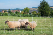 Schafnetz turbomax extra | 105 cm hoch | 50 m lang | Einzelspitze | elektrifizierbar