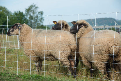 Schafnetz turbomax extra | 90 cm hoch | 50 m lang | Einzelspitze | elektrifizierbar