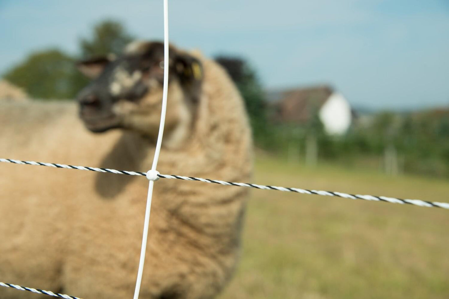 Schafnetz turbomax extra | 105 cm hoch | 50 m lang | Doppelspitze | elektrifizierbar