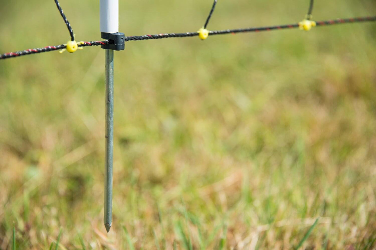 Schafnetz horinetz | 105 cm hoch | 50 m lang | Einzelspitze | elektrifizierbar