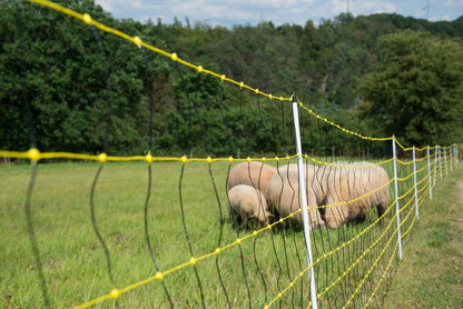 Schafnetz horinetz | 90 cm hoch | 50 m lang | Doppelspitze | elektrifizierbar