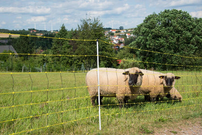 Schafnetz horinetz | 90 cm hoch | 50 m lang | Einzelspitze | elektrifizierbar