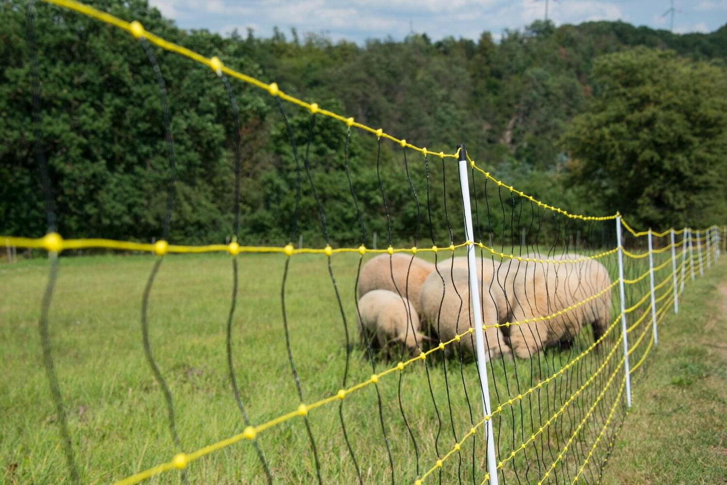 Schafnetz horinetz | 90 cm hoch | 50 m lang | Einzelspitze | elektrifizierbar