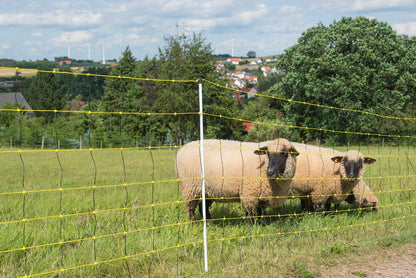 Schafnetz horinetz | 90 cm hoch | 50 m lang | Doppelspitze | elektrifizierbar