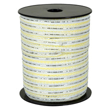 Weidezaunband ranger® T12 - W | 200 m | 12 mm | 4 Leiter