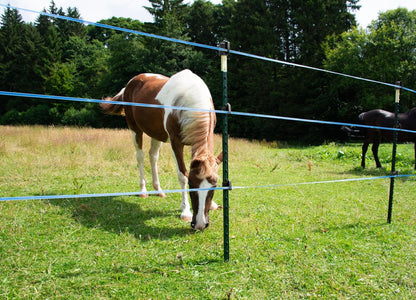 Weidezaunband hotshock® T12 | 200 m |12 mm | 6 Leiter