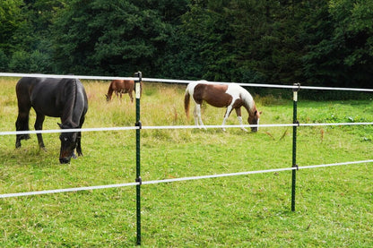 Weidezaunband farmer® T20-W im Doppelpack | 4 Leiter