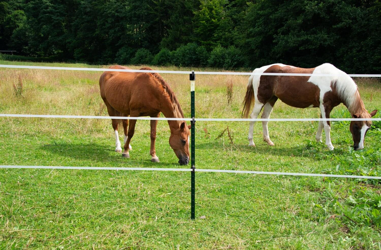 Weidezaunband farmer® T20-W im Doppelpack | 4 Leiter