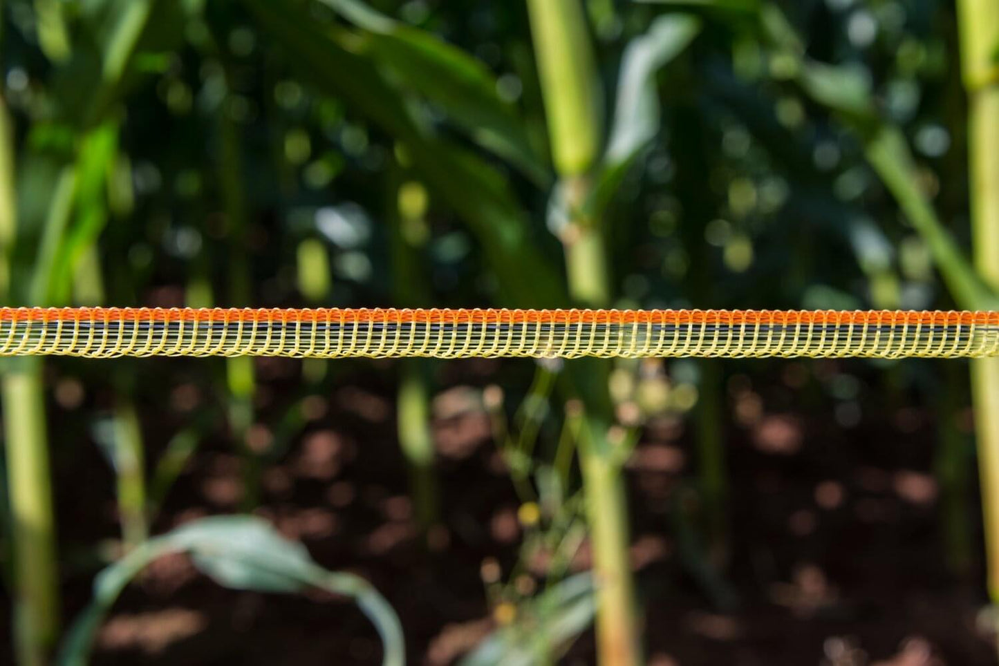 Weidezaunband farmer® T10-O | 200 m | 10 mm | 3 Leiter