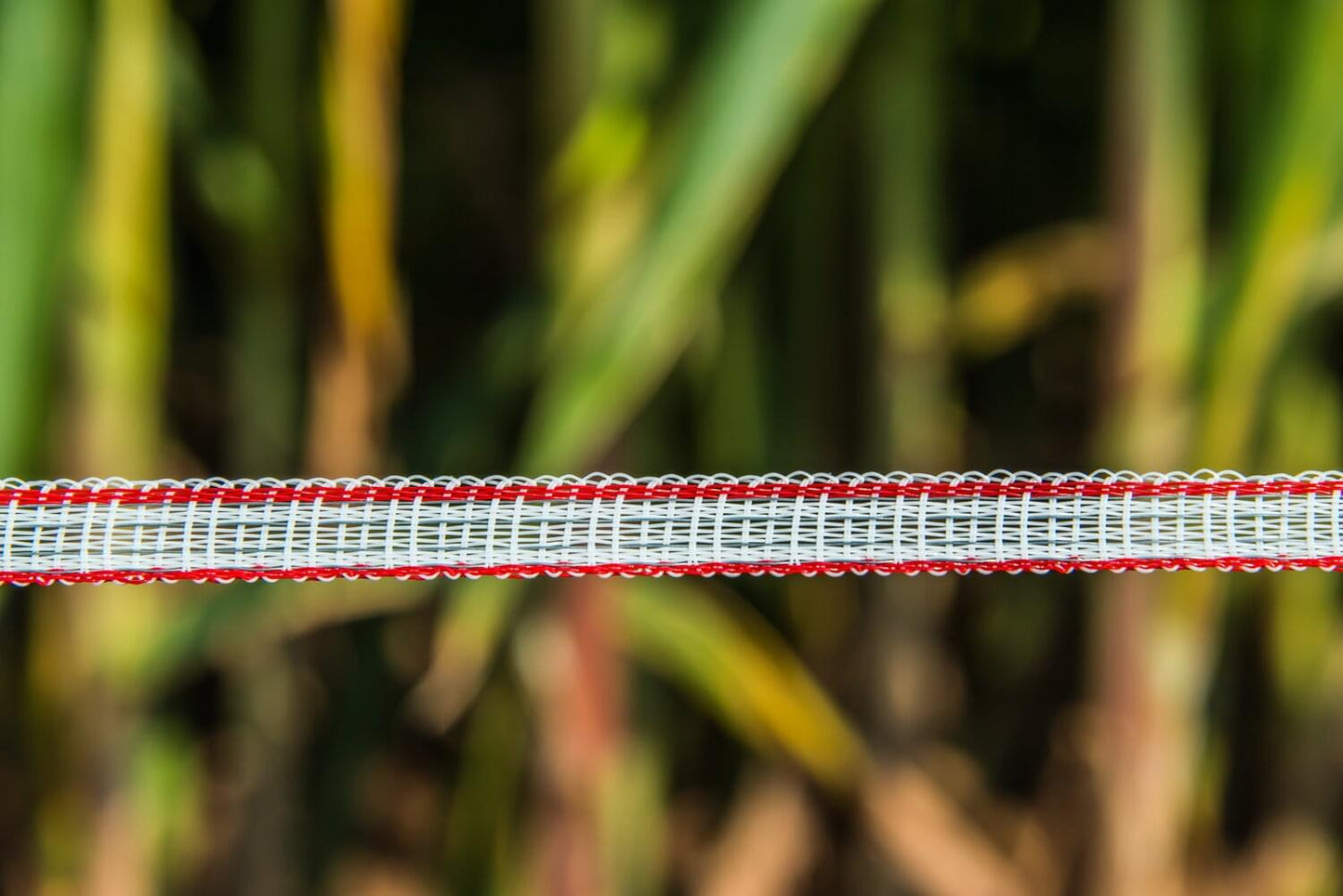 Weidezaunband hotshock® T12 - TBmax | 250 m | 12 mm | 4 Leiter