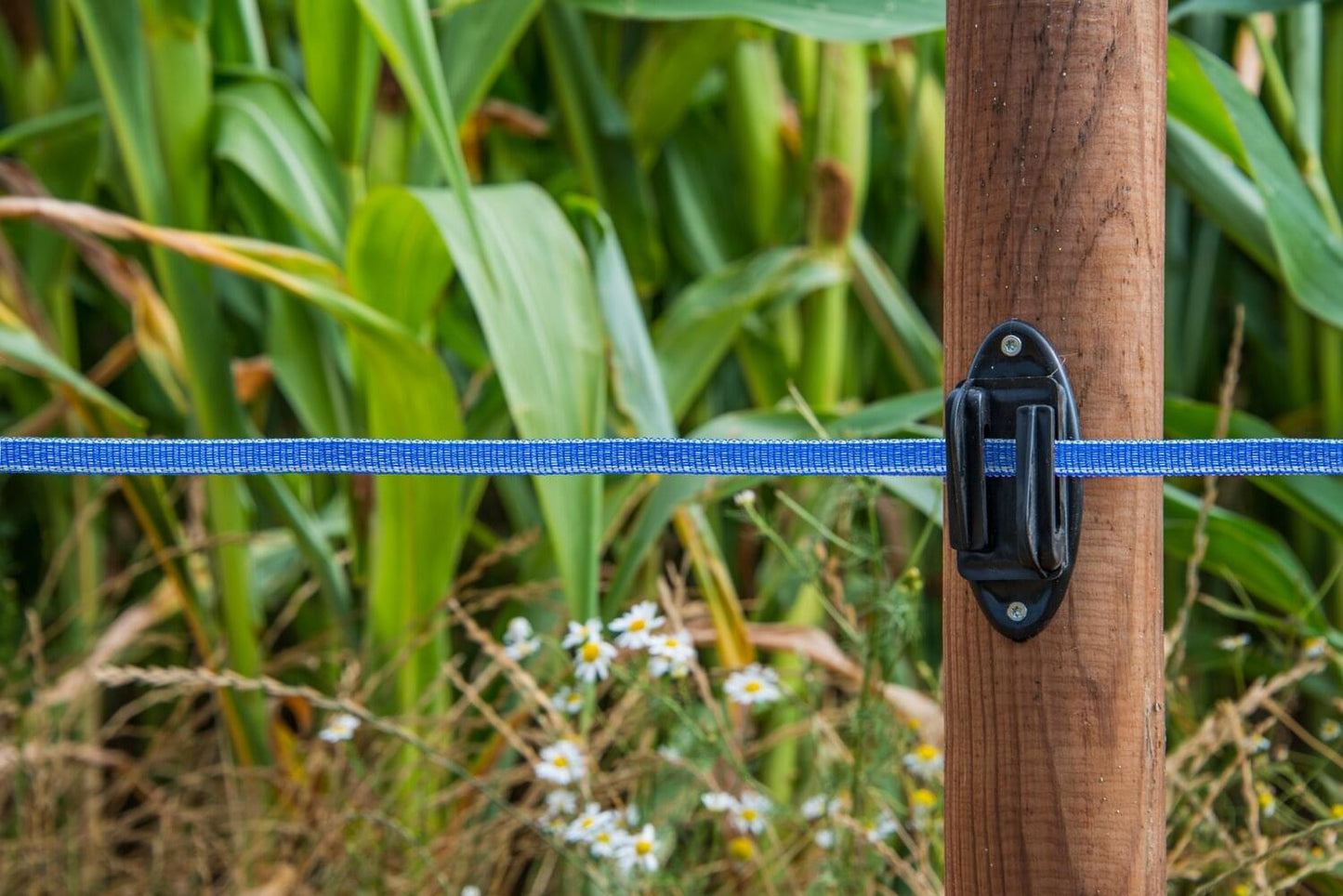 Weidezaunband hotshock® T12 | 200 m |12 mm | 6 Leiter