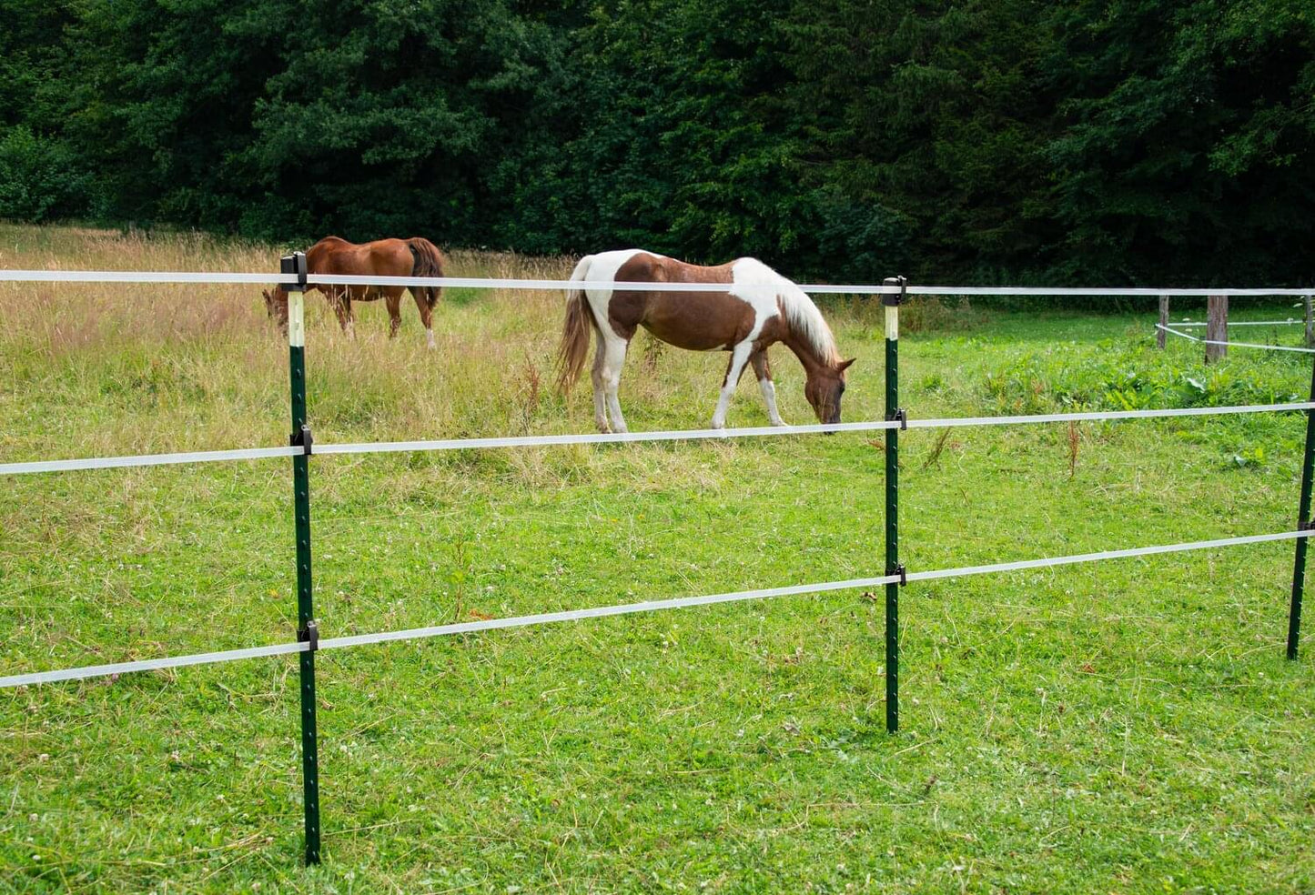 Weidezaunband farmer® T20-W | 200 m | 20 mm | 4 Leiter