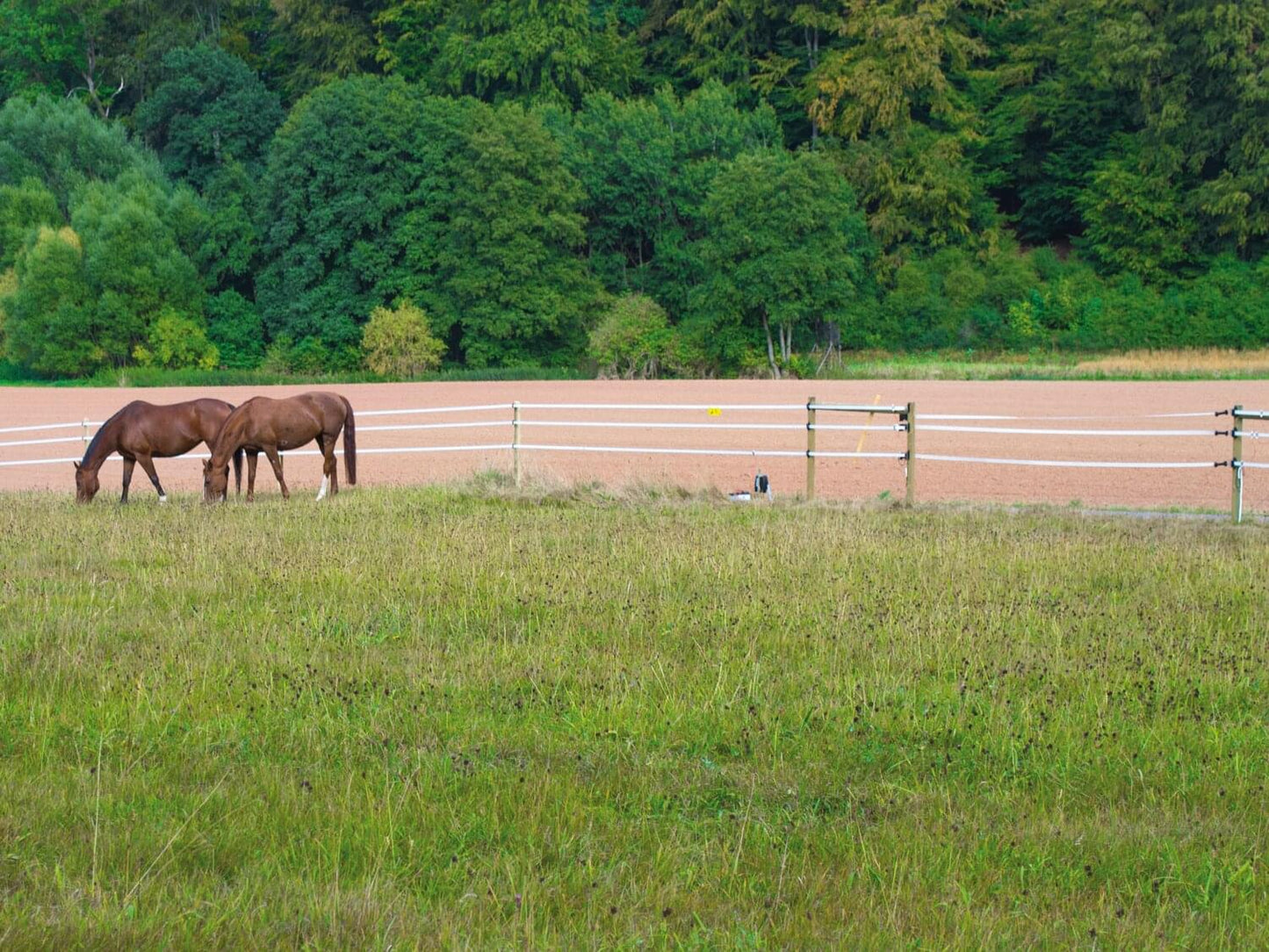 Weidezaunband farmer® T40-W | 200 m | 40 mm | 8 Leiter
