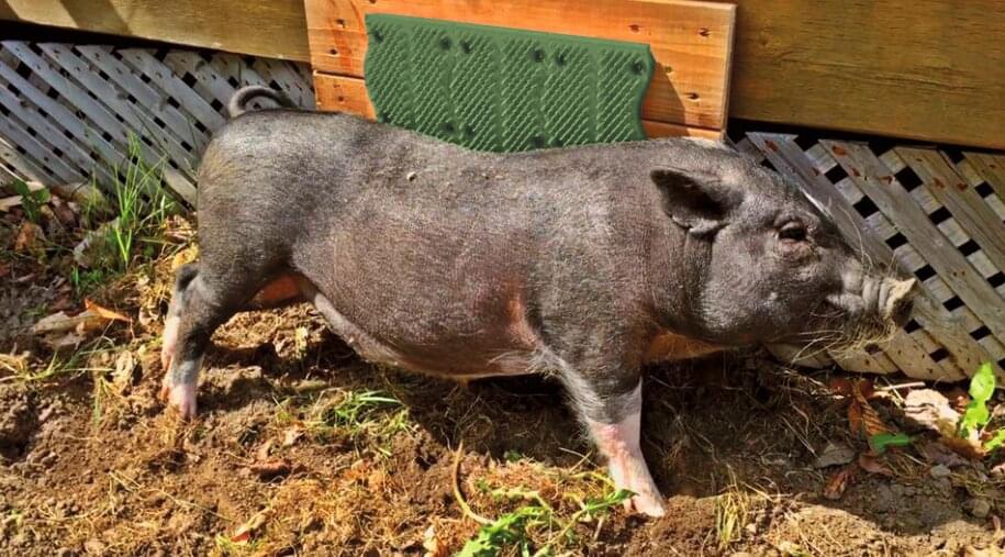 ScratchnAll Kratzpad