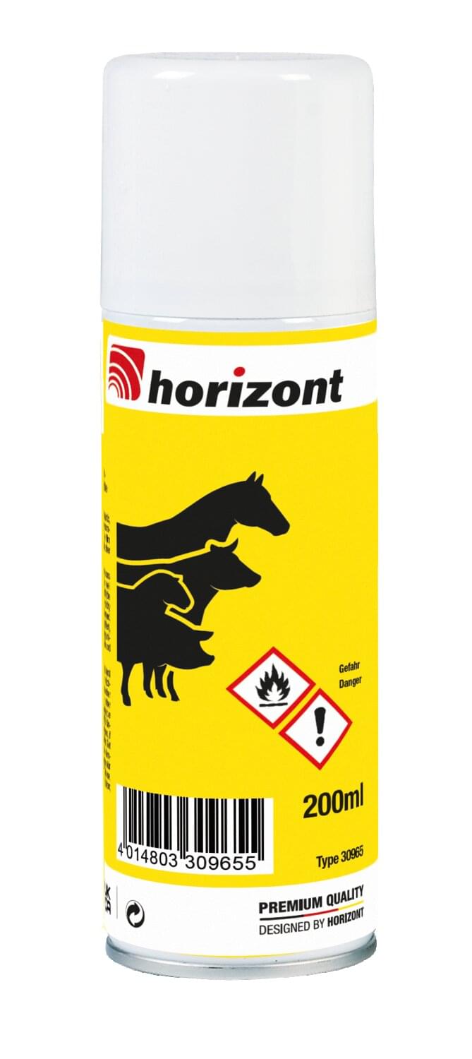 Silberspray (200 ml)