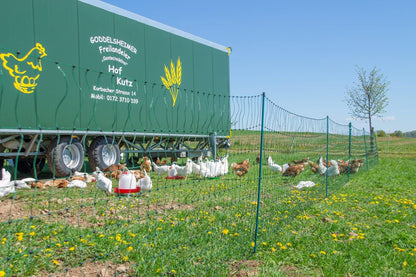 Geflügelnetz ranger® security | 105 cm hoch | 50 m lang | Einzelspitze | ohne Stromleiter