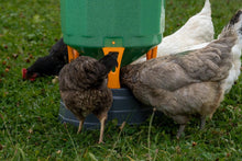 Copele Geflügelfuttertrog  Silo Freiland | 35 L