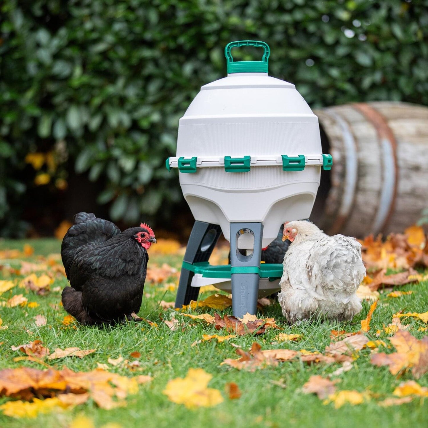 Kunststoff Geflügeltränke Optimus | Zweiteiliger Tank | 25 L