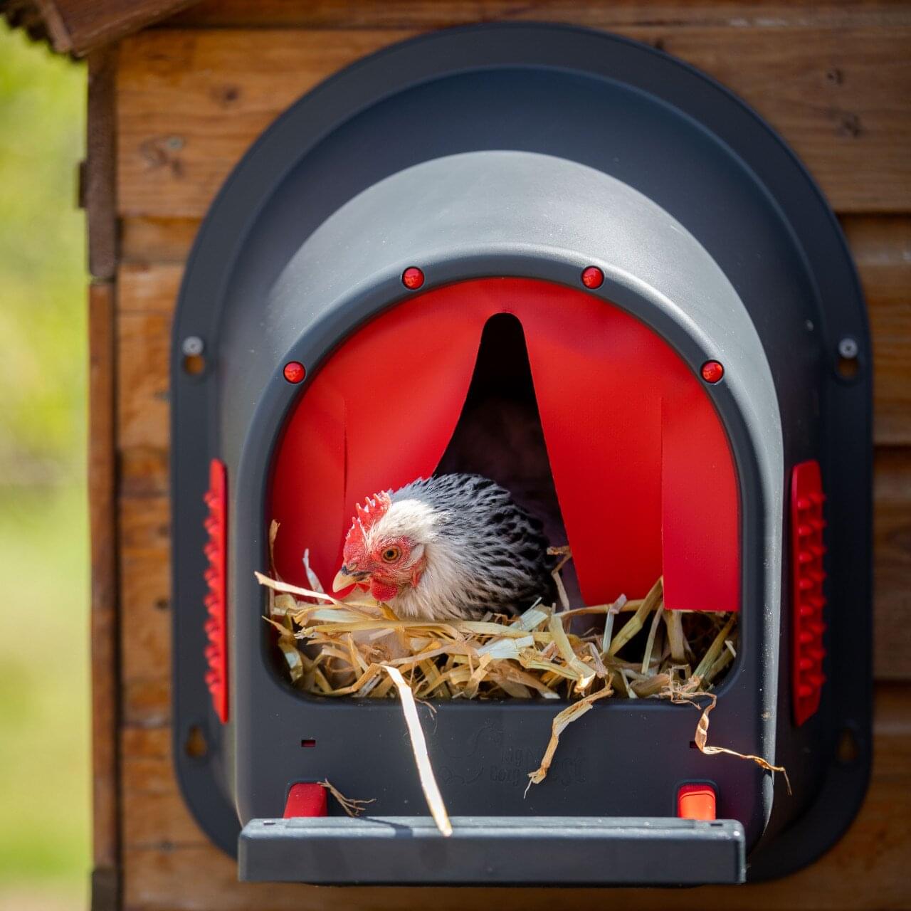 Kunststoff Legenest "MyCozyNest" für Hühner | rot
