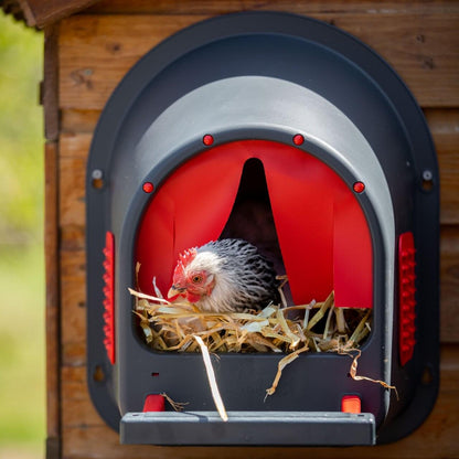 Kunststoff Legenest "MyCozyNest" für Hühner | rot