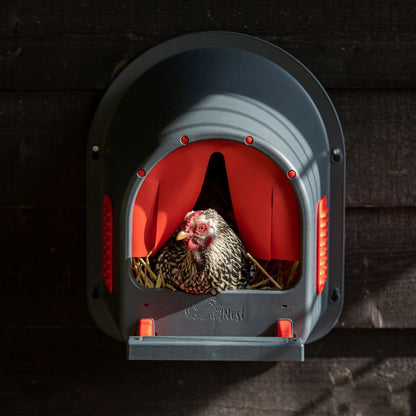 Kunststoff Legenest "MyCozyNest" für Hühner | rot