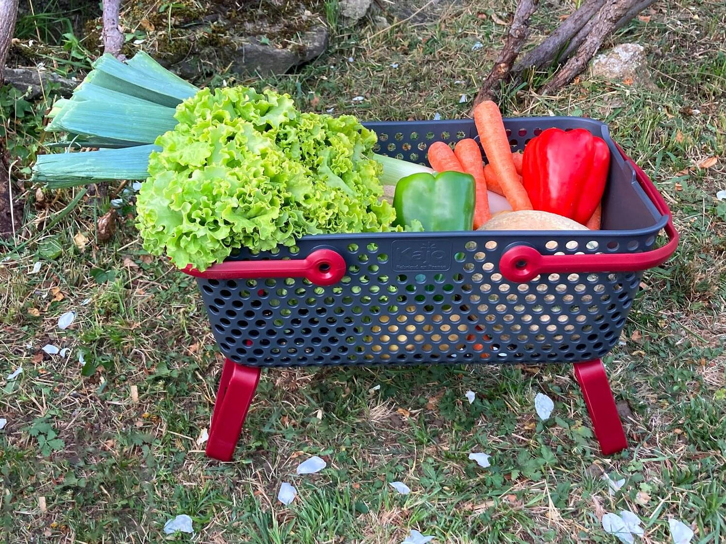 Kajo Erntekorb | grau / kirschrot  (15 L)