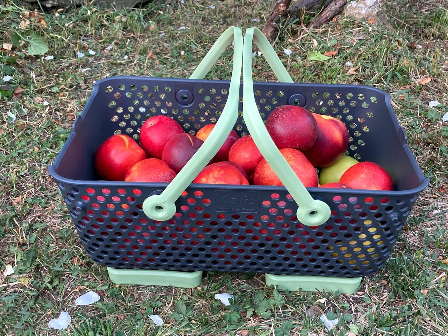 Kajo Erntekorb grau / lime (15 L)