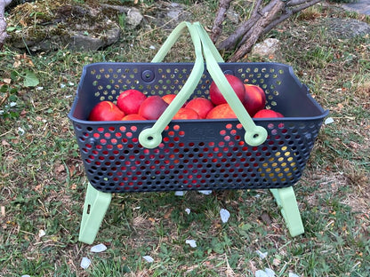 Kajo Erntekorb grau / lime (15 L)