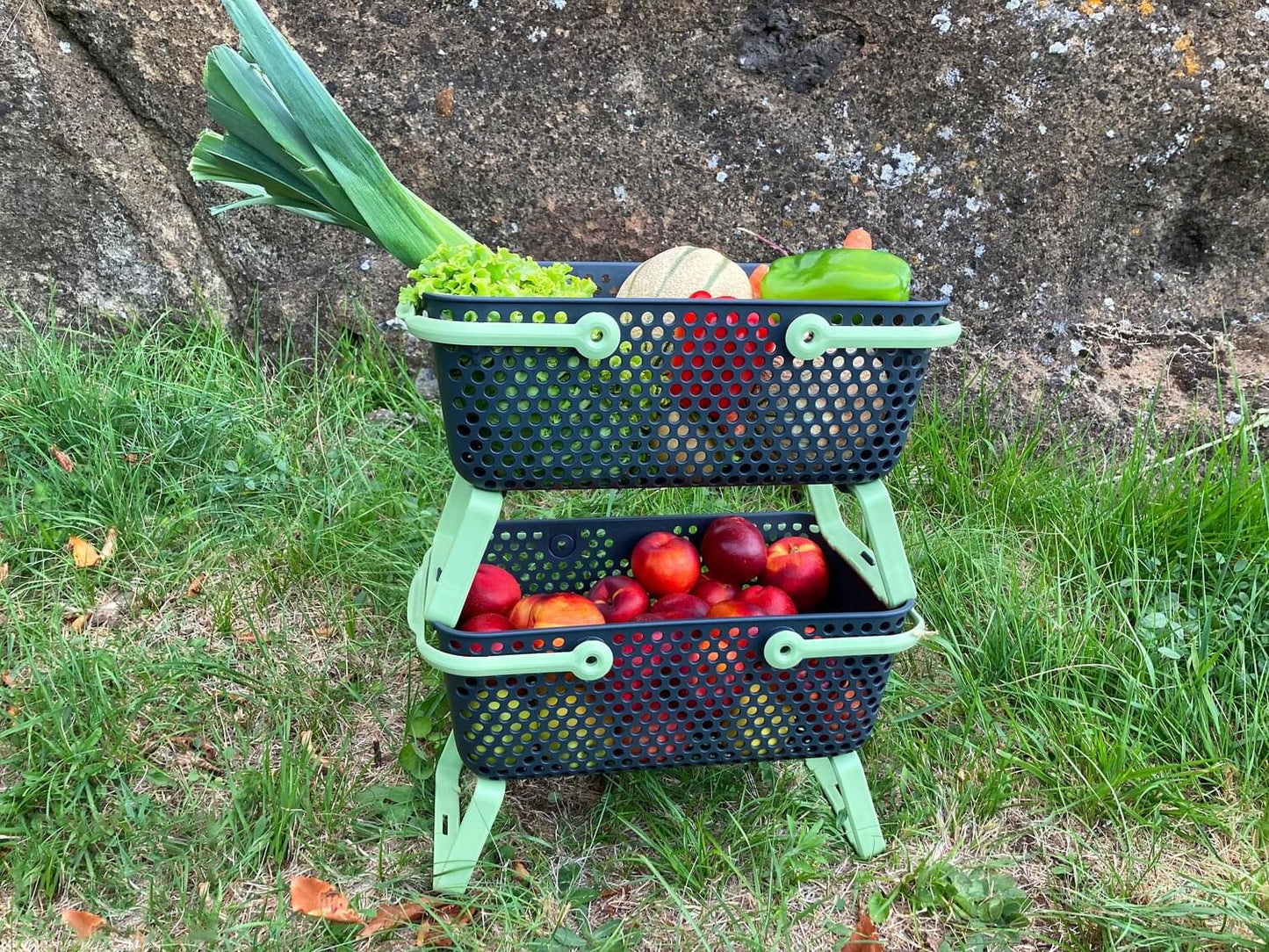 Kajo Erntekorb grau / lime (15 L)